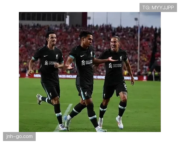 恩佐 vs 麦卡利斯特：世界杯中场组织与覆盖能力对比分析